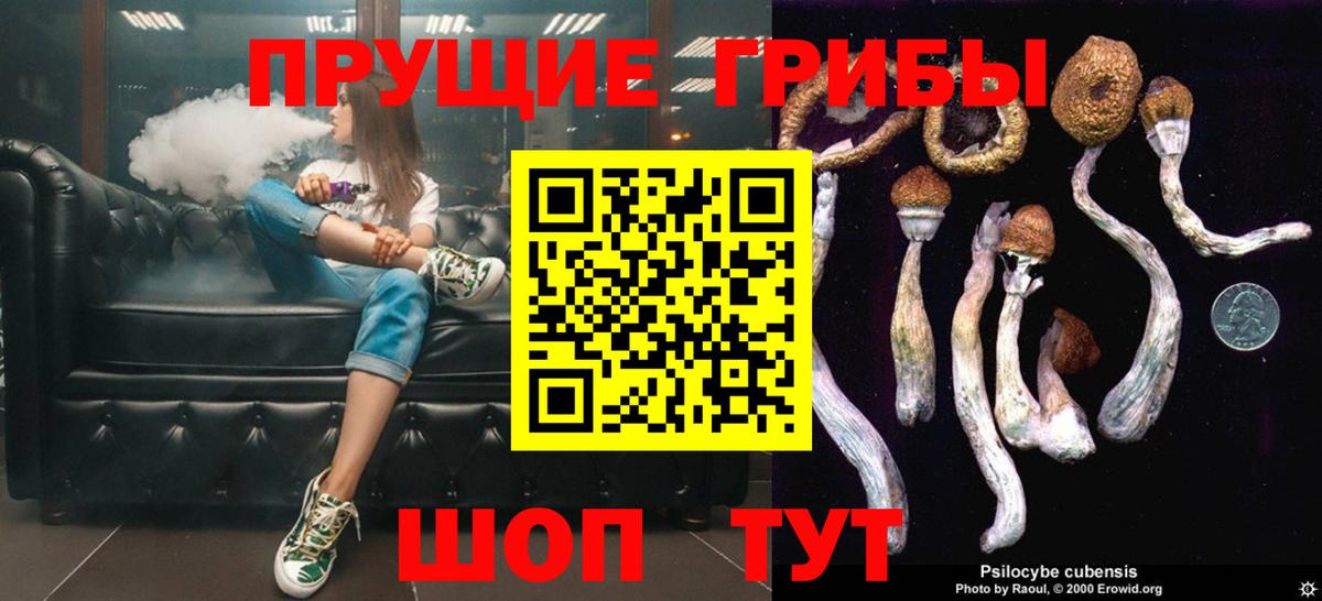 Галлюциногенные грибы мицелий Лосино-Петровский