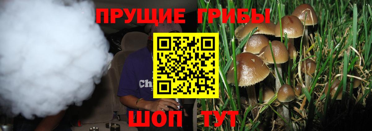 Галлюциногенные грибы Psilocybine cubensis  Вход с VPN  Лосино-Петровский 